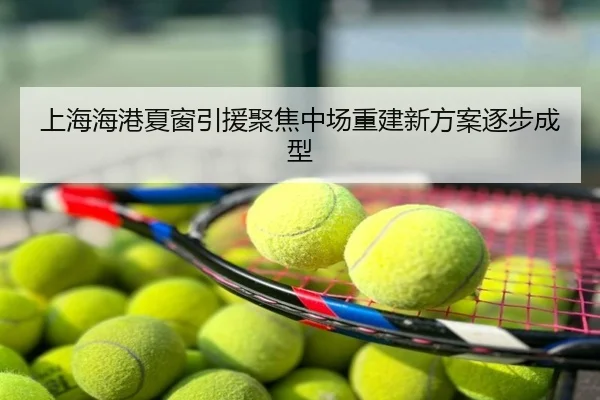 上海海港夏窗引援聚焦中场重建新方案逐步成型