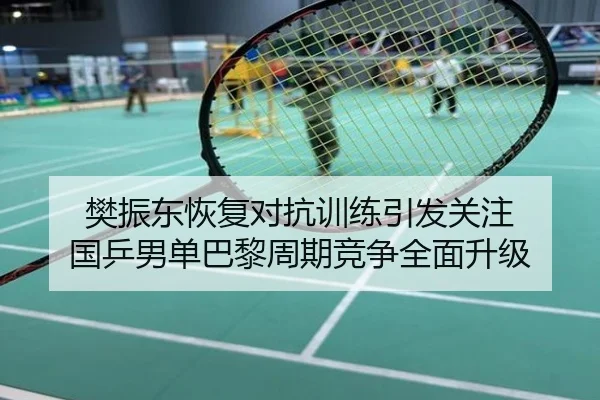 樊振东恢复对抗训练引发关注 国乒男单巴黎周期竞争全面升级