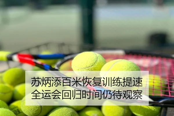 苏炳添百米恢复训练提速 全运会回归时间仍待观察